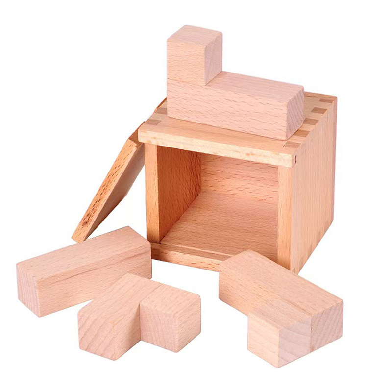 Magic IQ Oblique Placement of  - Wooden Puzzle Kids recension och pris