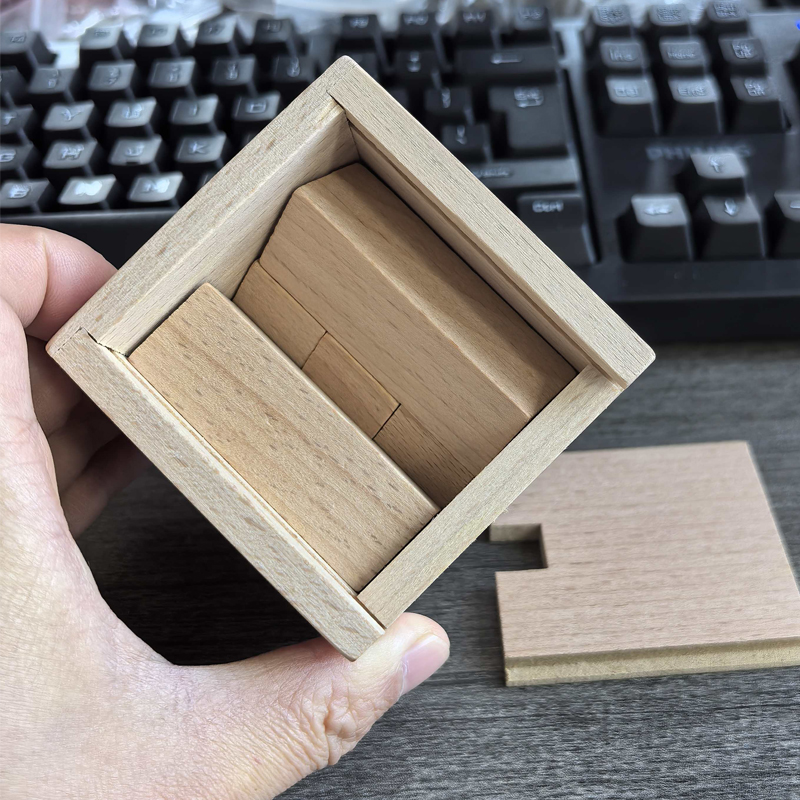 Magic IQ Oblique Placement of  - Wooden Puzzle Kids recension och pris